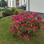 Apartament Nawigator Rybacka 12 B